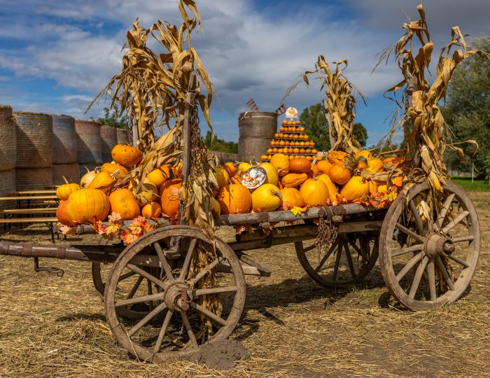 Herbst