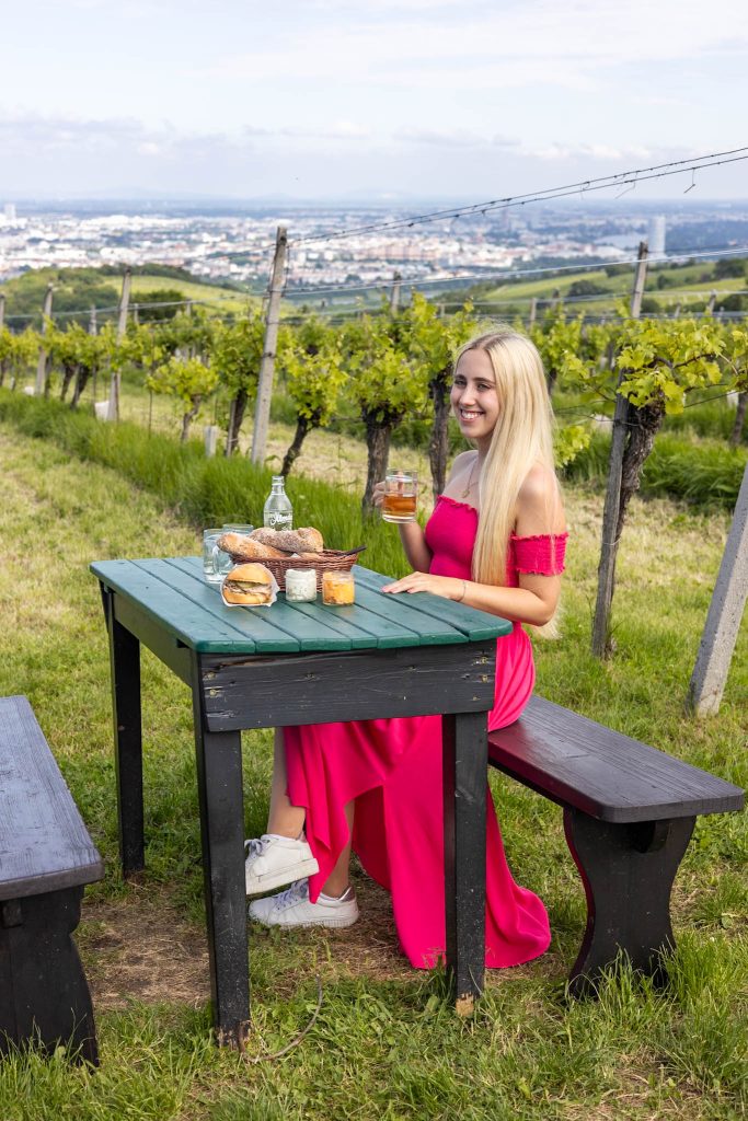 Gründer Heurigentisch mit Getränken und Essen in den Weinbergen am Nussberg in Wien, Im Hintergrund Weinstücke und Blick auf Wien.