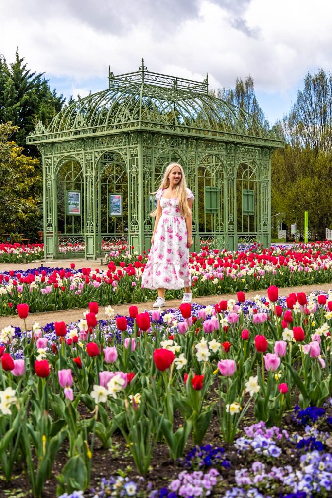 Buntes Tulpenbeet, im Hintergrund grüner Pavillon in den Blumengärten Hirschstetten in Wien.