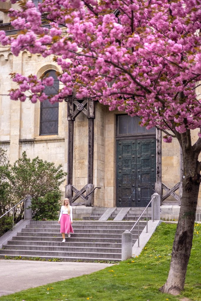 Kirschblüte vor der Franz-von-Assisi Kirche am Mexikoplatz in Wien