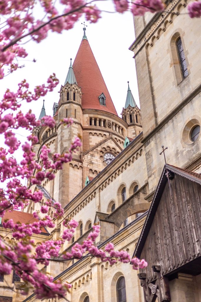 Kirschblüte vor der Franz-von-Assisi Kirche am Mexikoplatz in Wien