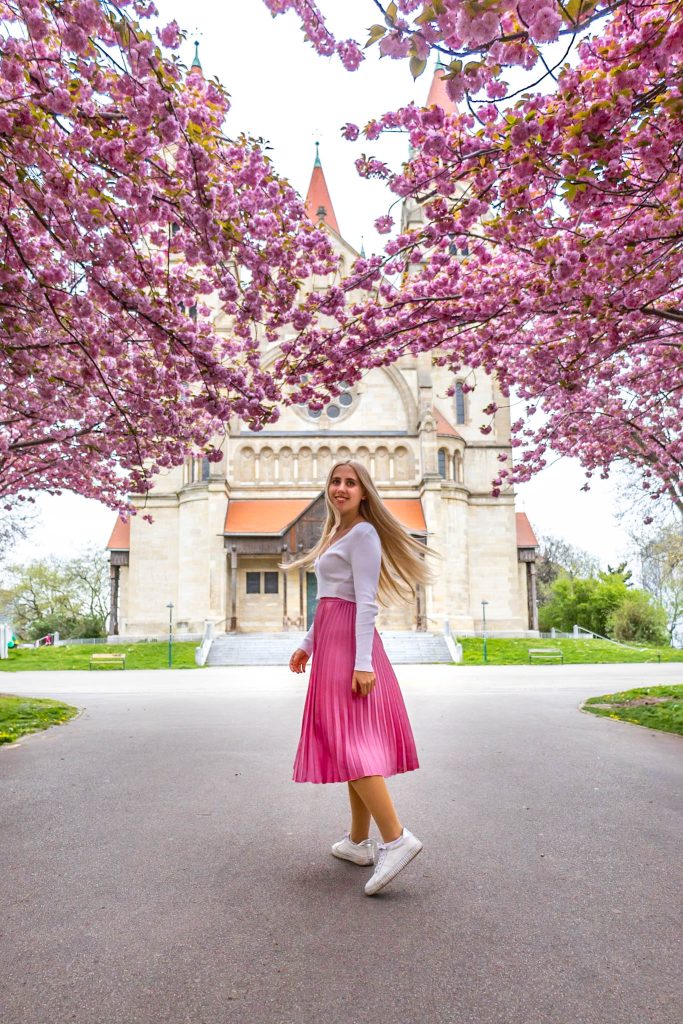Kirschblüte vor der Franz-von-Assisi Kirche am Mexikoplatz in Wien
