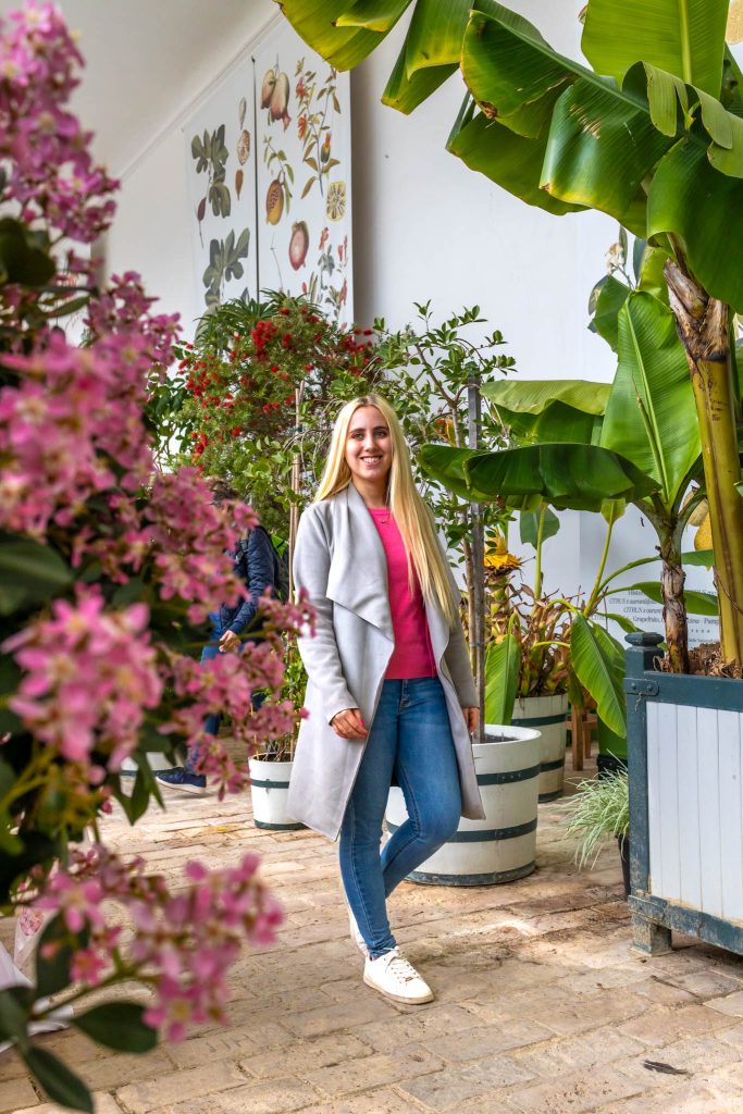 Pflanzen in der Orangerie im Schloss Hof nahe Wien.