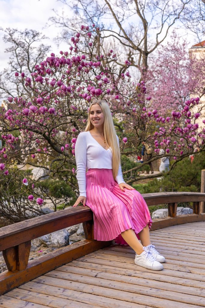 Magnolie im Setagayapark in Wien