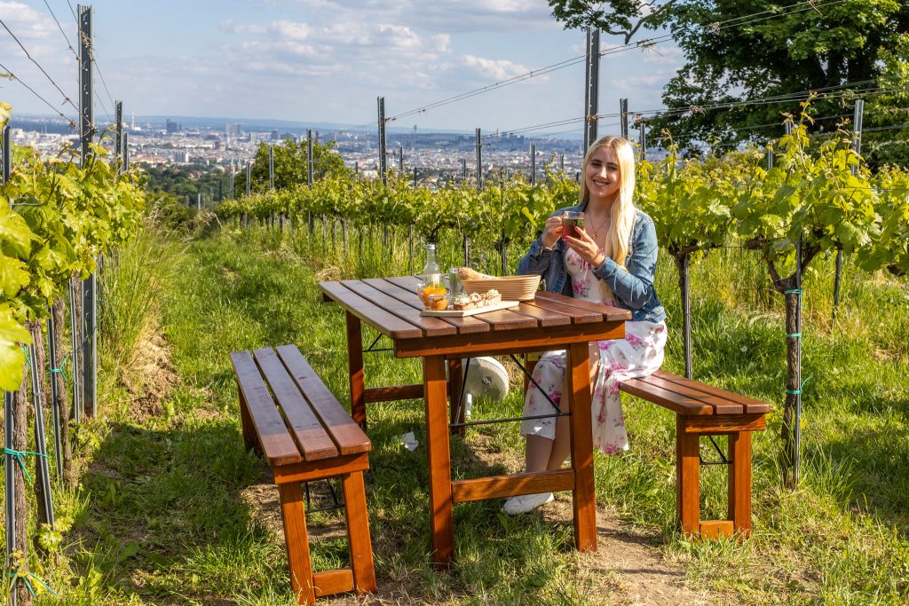 Heuriger Hans & Fritz in Wien mit Blick auf die Stadt.