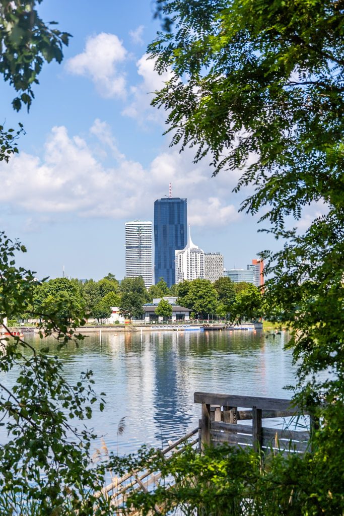 Obere Alte Donau in Wien, blick auf das Wasser und den Steg, im Hintergrund Hochhäuser.