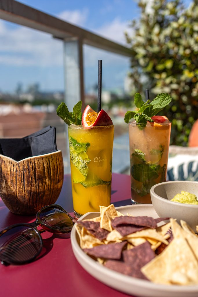 Zwei Cocktails mit Minzblättern und Früchten, Tortilla Chips mit Guacamole, eine Sonnenbrille und Kokosnuss in der Rooftopbar Casa Coco in Wien.