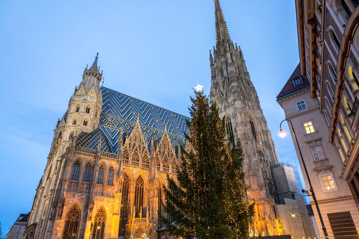 St. Stephen's Cathedral in Vienna with large Christmas tree in the front illuminated