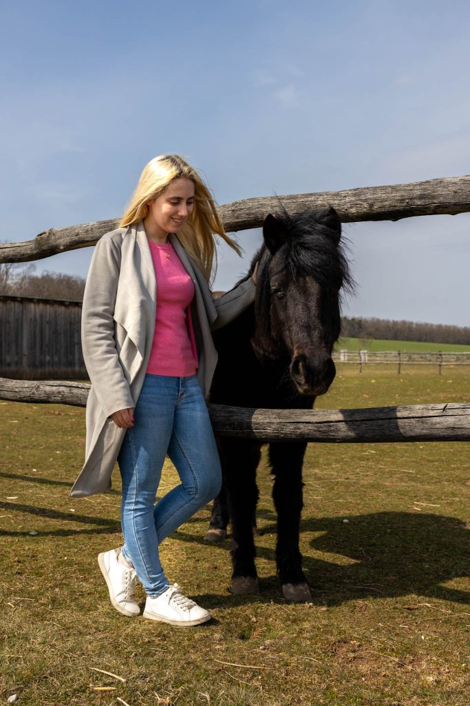 Pony at Schloss Hof near Vienna.